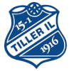 Tiller