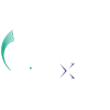 Converge Fiberxers