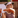 Gabriela Maria Vancea