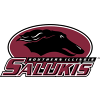 Southern Illinois Salukis (Femmes)