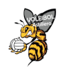 Voleibol Astillero (Femminile)