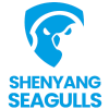 Shenyang Seagulls