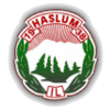 Haslum IL
