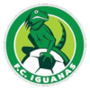 Iguanas
