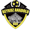 Μπεικόζ Αναντολούσπορ