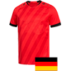 Hanauer 1960