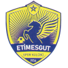 Etimesgutspor