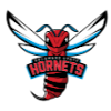 Delaware State Hornets (Women)