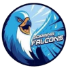 AdU Falcons (Feminino)