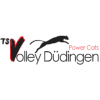 TSV Dudingen (Feminino)