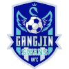 Gangjin Swans (Donne)