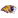 UANL