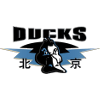 Beijing Shougang Ducks U19