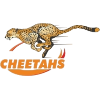 Cheetahs