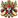 Ali 11
