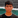Vansh Bisht