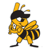 Salt Lake Bees