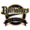 Orix Buffaloes