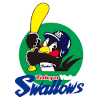 Tokyo Yakult Swallows