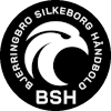 Bjerringbro