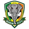 スリン市
