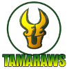 FEU Tamaraws (Women)