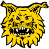 Ilves Tampere (Γυναίκες)