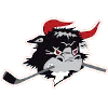 Rodovre Mighty Bulls