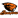 Oregon State Beavers