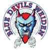 Blue Devils Weiden