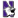 Northwestern Wildcats (Donne)