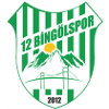12 Bingolspor