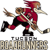 Tucson Roadrunners