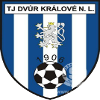 TJ Dvůr Králove nad Labem
