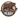 Hershey Bears