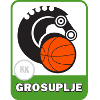 Grosuplje