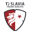 Hradec Kralove (Feminino)