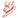 Masfut