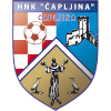 Чаплина