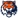 Amur Khabarovsk