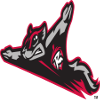 Flying Squirrels de Richmond