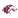 Southern Illinois Salukis