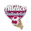 BM Valladolid