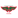 Aguada