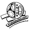 Union Kleinmünchen (Femmes)