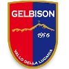 Gelbison