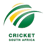 South Africa Emerging Players