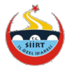 Siirtspor