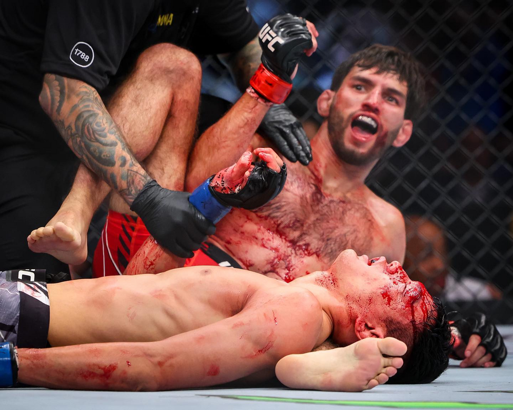 Мэтт Шнелл - Су Мудаержи