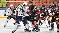 «Металлург» – «Гомель»: актуальный прогноз и ставка на областное дерби